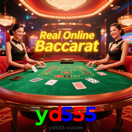 yd555：O cassino online mais confiável para jogar blackjack e apostar no futebol!